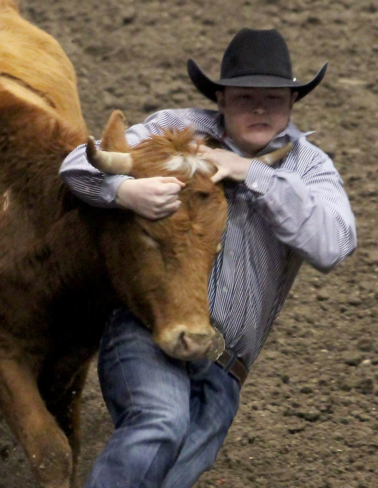 Rodeo 3B.jpg